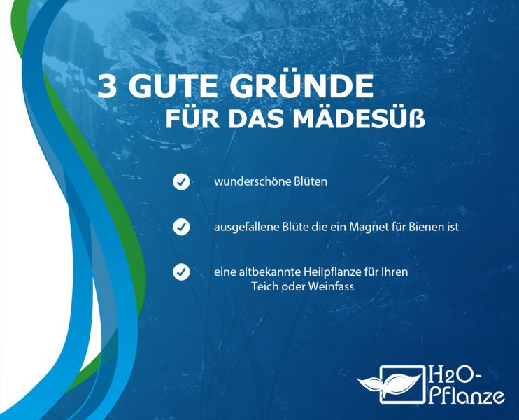 Preview: Kaufgründe